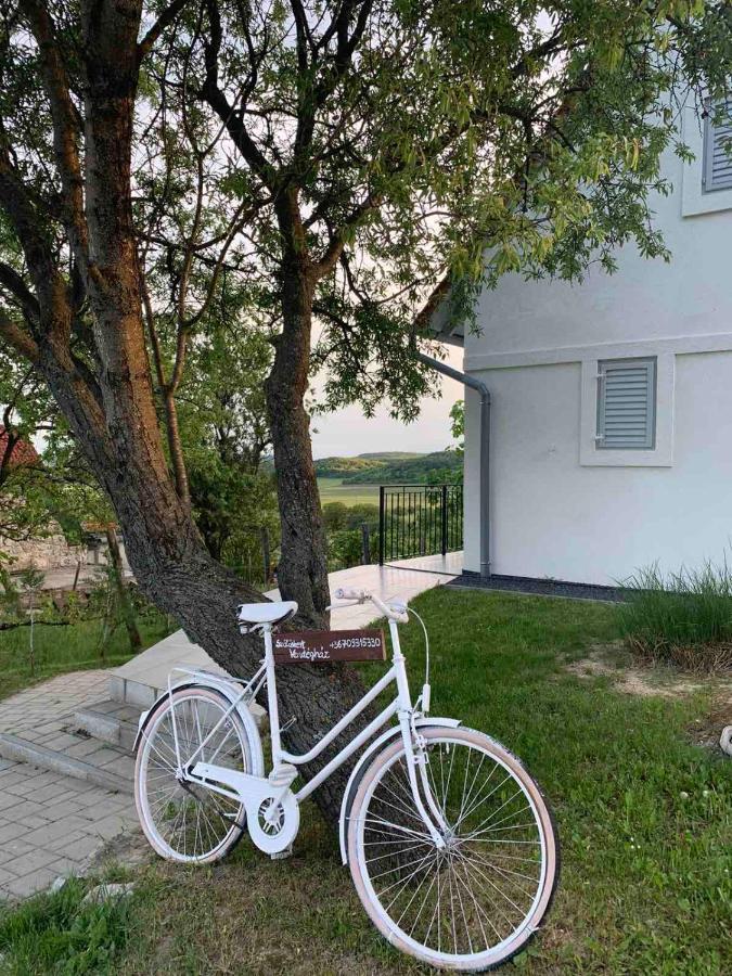Szoloskert Vendeghaz Balatonszolos Bagian luar foto