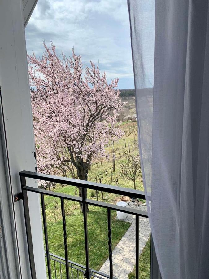 Szoloskert Vendeghaz Balatonszolos Bagian luar foto
